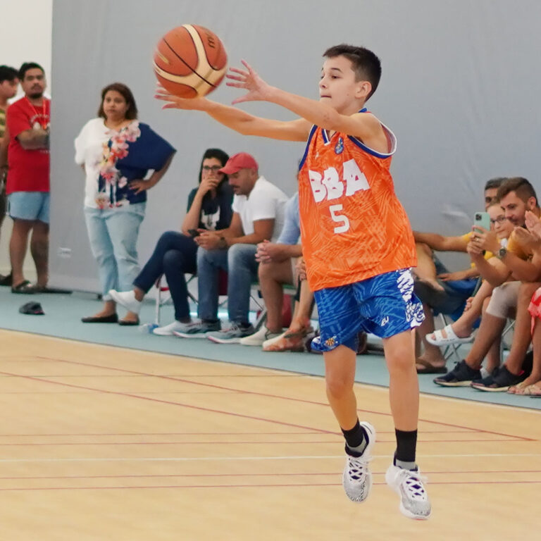 <p>Learn the basics of passing and improve your skills through drills such as chest pass, bounce pass, partner passing, full court passing, 2-on-2 passing and layup.</p><p> </p>
